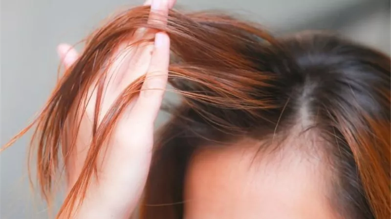 خبيرة تجميل: استخدمي زيت اللوز الحلو لفك تشابك الشعر 