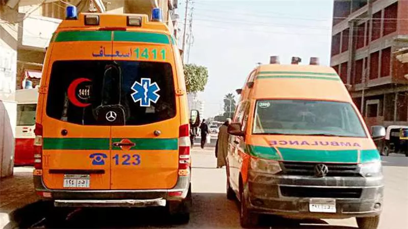 تفاصيل حادث إصابة عامل زراعي وربة منزل بالشرقية