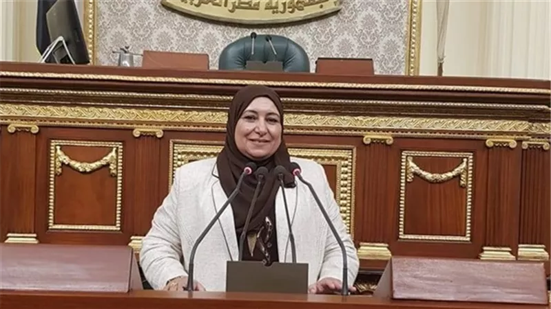 بالصور.. نائبة تُطالب بتعديل قانون هيئة التأمينات الاجتماعية