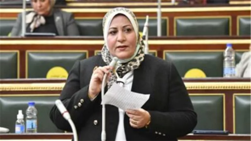 النائبة غادة الضبع تكتب: شكرًا للقيادة السياسية الواعية 