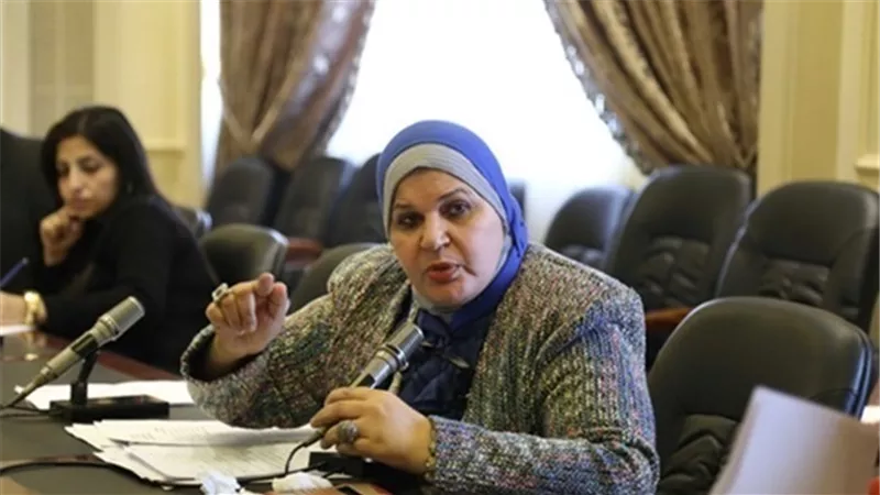 برلمانية: زينب نموذج صغير لآلاف من السيدات المصريات 