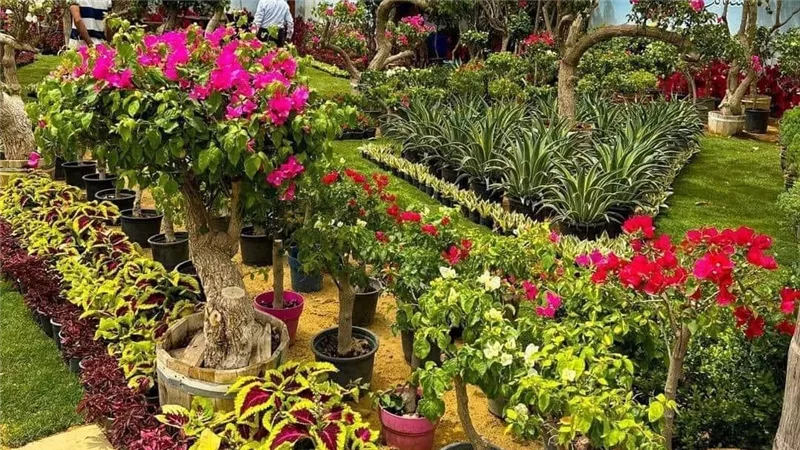 معرض زهور الربيع يفتح أبوابه أمام الزائرين.. إليك الموعد ووسيلة زيارته
