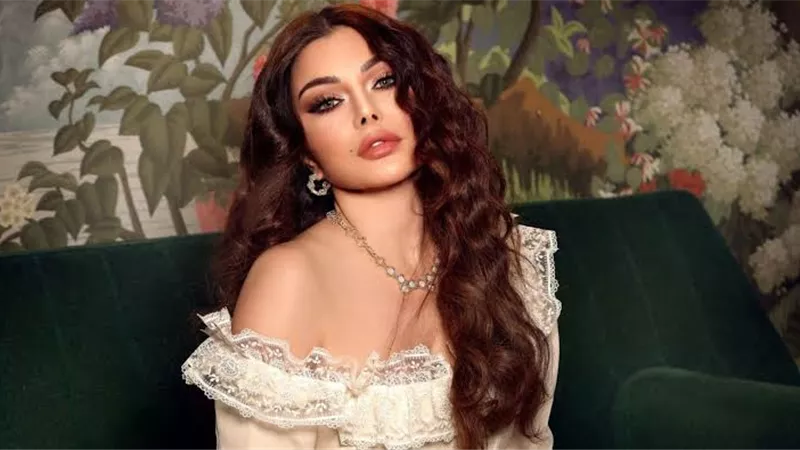 الجمهور يسخر من هيفاء وهبي بعد ظهورها في كان 2024