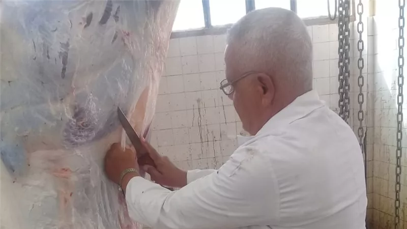 نقيب البيطريين بجنوب سيناء يستعرض لـ