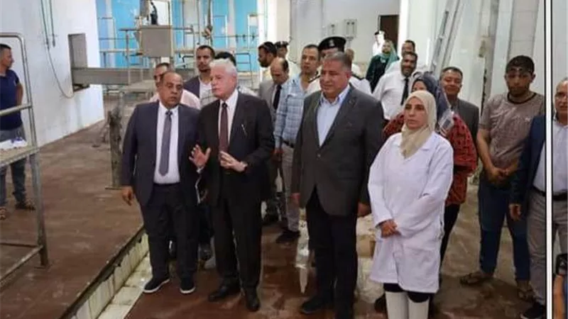 مديرة الطب البيطري بجنوب سيناء: مجازرنا بالمجان في عيد الأضحي