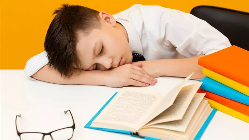 لطلاب الثانوية العامة.. 4 أطعمة احذروا تناولها قبل الامتحانات تسبب الخمول