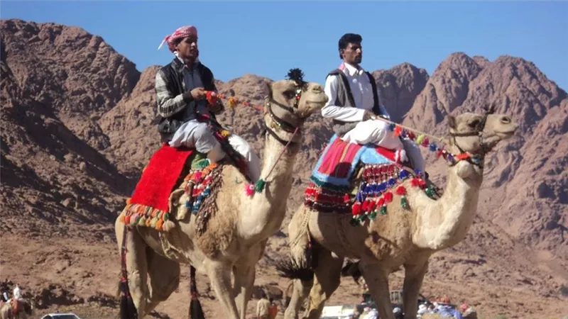 المعيد وتبخير الذبائح والفراشيح والجريشة من مظاهر الاحتفال بالعيد بجنوب سيناء
