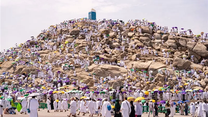 منها 