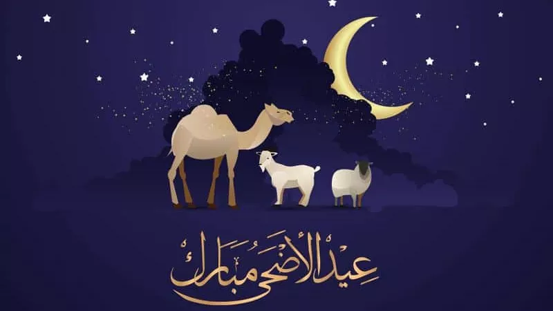  متى تنتهى تكبيرات عيد الأضحى؟ «الإفتاء تُجيب»