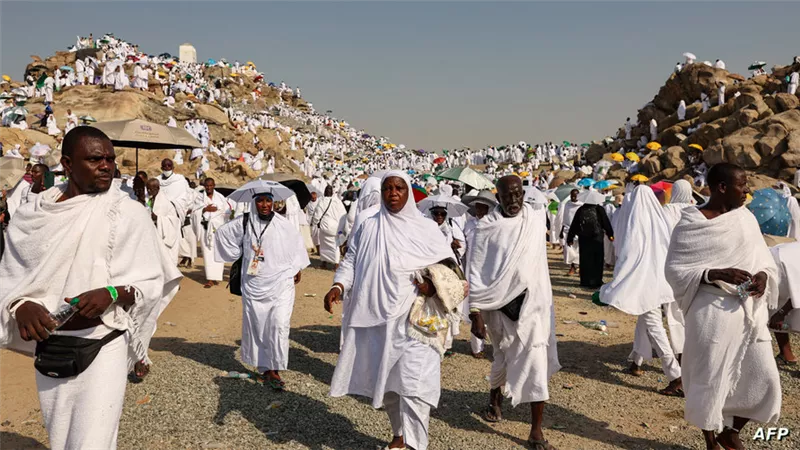 الخارجية: تخصيص فرق عمل للبحث عن الحجاج المصريين المفقودين داخل المستشفيات