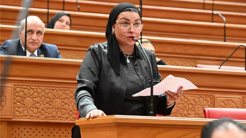 النائبة ألفت المزلاوي: قطع الكهرباء أصاب كل بيت بـ«النكد».. وعلى الحكومة ايجاد حل