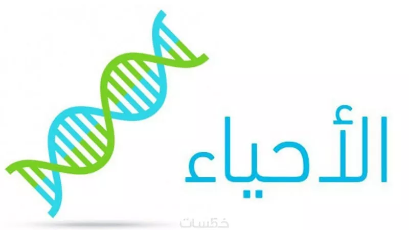 للشعبة العلمية.. أهم التوصيات لتأدية امتحان الثانوية الأزهرية بمادة الأحياء 
