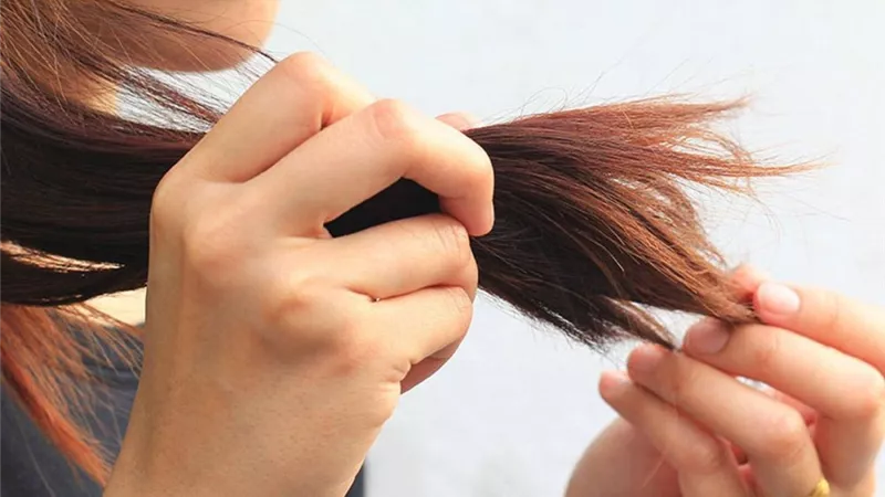 أفضل 3 زيوت طبيعية لعلاج الشعر التالف