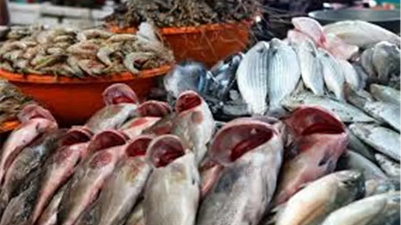 لربات البيوت.. أسعار الأسماك في السوق اليوم الجمعة 28 يونيو 2024