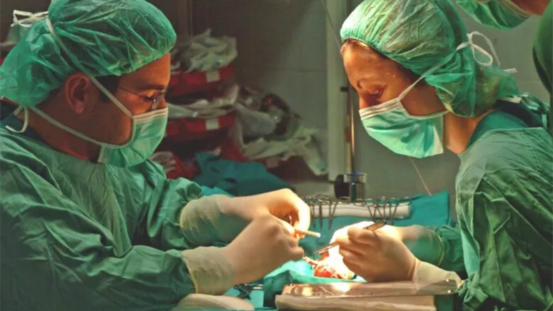 ما حكم الاستفادة من الأجنة المجهضة في زراعة الأعضاء؟.. «الإفتاء تُجيب»