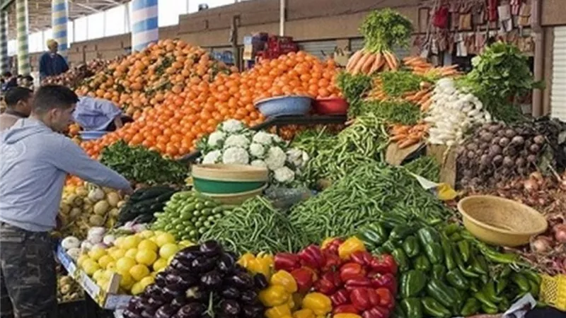 لإعداد طعام أسرتك.. أسعار الخضروات والفاكهة اليوم الخميس 11 يوليو 2024