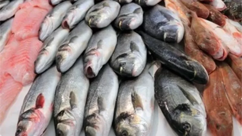 لربات البيوت.. أسعار السمك اليوم الخميس 11 يوليو 2024