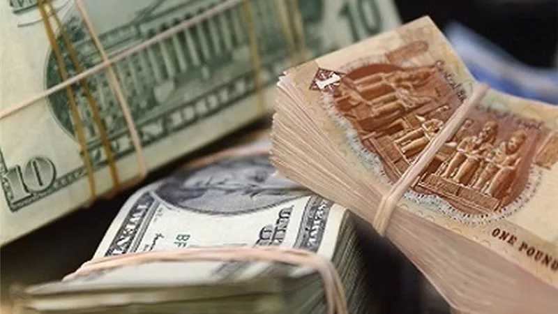 سعر الدولار مقابل الجنيه المصري اليوم السبت 20-7-2024