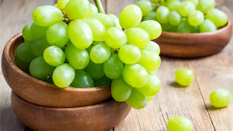 فاكهة تحميك من أمراض كثيرة.. تعرف على فوائد العنب