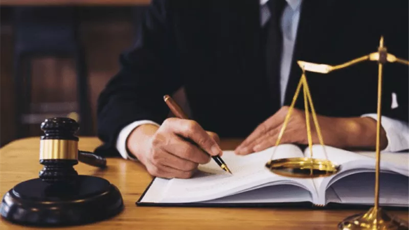 «لو تنسيقك حقوق».. أفضل المجالات المتاحة في سوق العمل للمحاميات 