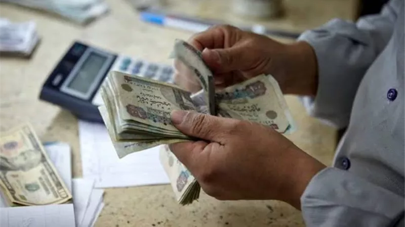 موعد صرف مرتبات شهر أغسطس 2024.. وتحذيرات من المالية 