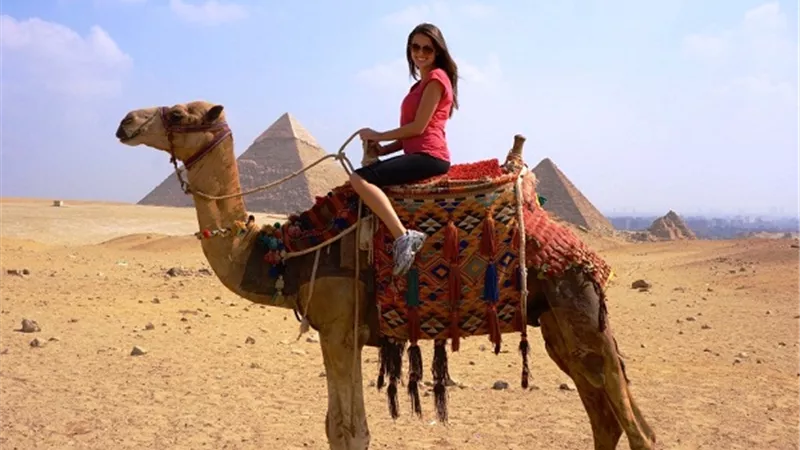  تفسير حلم ركوب الجمل في المنام للعزباء والمتزوجة