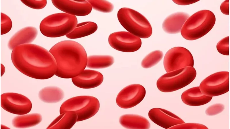 لو نسبة الهيموجلوبين قليلة فى تحليلك.. إليك 8 أطعمة لعلاج الأنيميا
