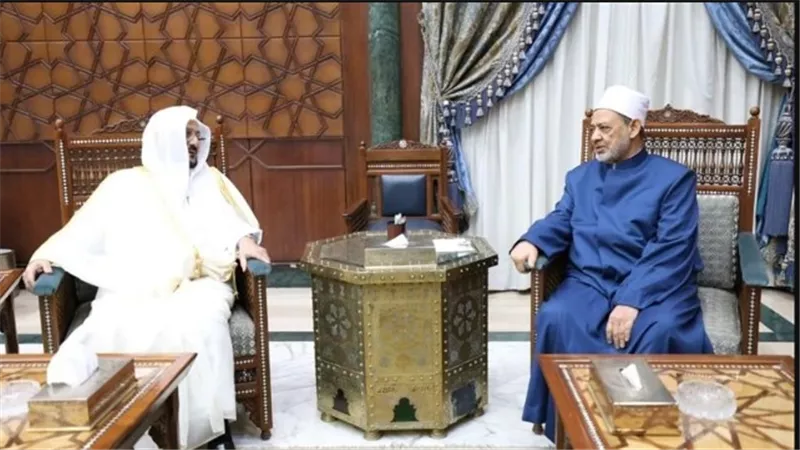 شيخ الأزهر: ضرورة إعادة النظر في بعض الفتاوى الخاصة بحقوق المرأة