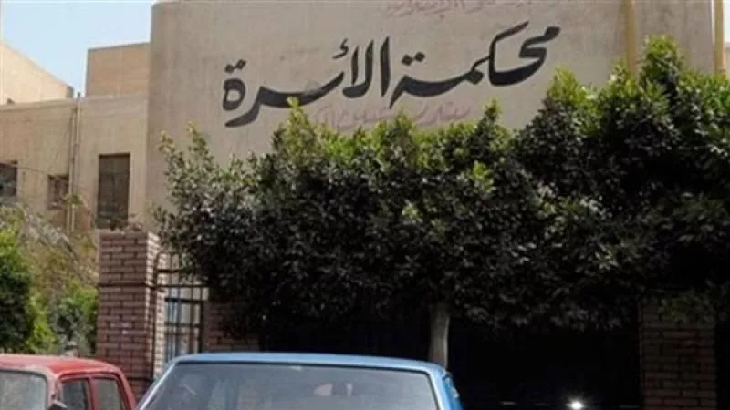 أغرب دعوى نفقة في محكمة الأسرة.. سيدة تطلب نفقة لألعاب أطفالها