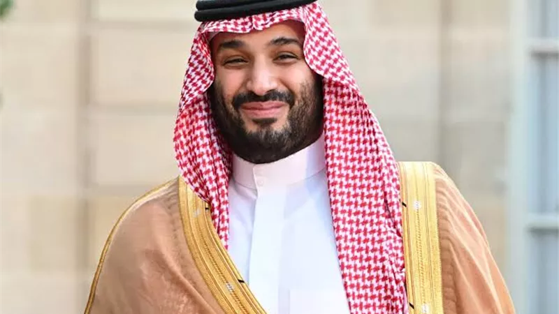 احتفاء واسع من نجوم الفن بعيد ميلاد ولي العهد السعودي محمد بن سلمان  