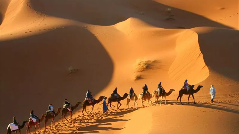 تفسير حلم الصحراء في المنام وعلاقته بالعقبات والأزمات