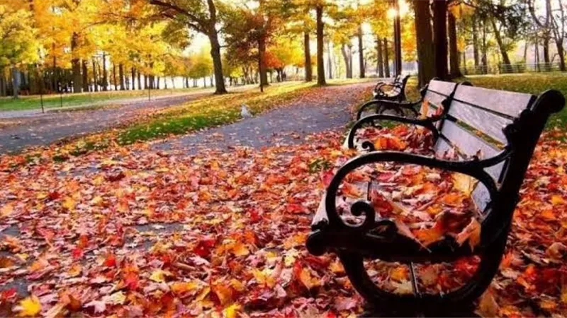 حالة الطقس المتوقعة غدًا الأربعاء 25-9-2024 
