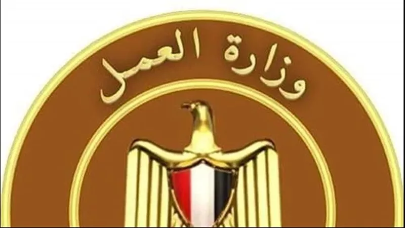 إطلاق المنصة الإلكترونية لتقديم خدمات العمالة غير المنتظمة في 13 محافظة