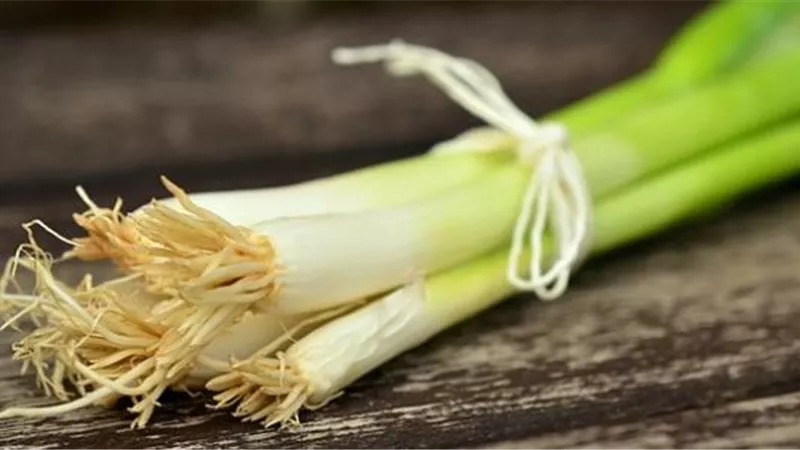 تفسير حلم البصل الأخضر في المنام وعلاقته بالثروة والمكاسب 