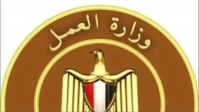 توفير فرص عمل لـ10 من ذوي الهمم في الأمن والحراسة بالقاهرة
