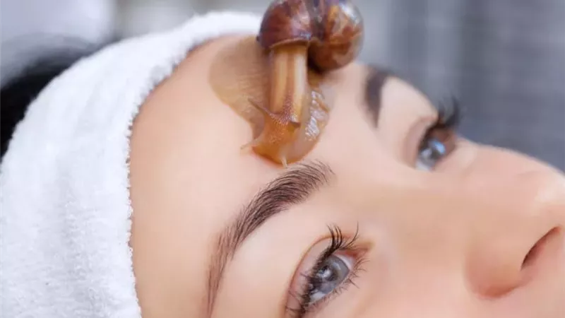 «الحلزون».. أحدث صيحات تجميل البشرة وله 4 فوائد 