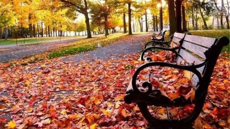 حالة الطقس اليوم الإثنين 21-10-2024