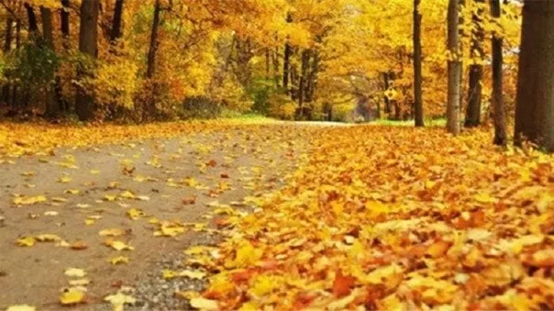 توقعات حالة الطقس غدًا الأحد 27-10-2024