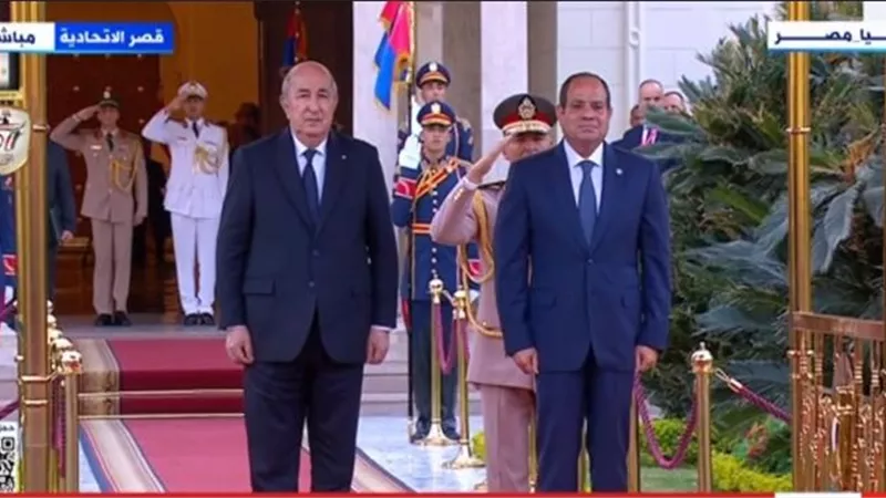 بث مباشر.. الرئيس السيسي يستقبل نظيره الجزائري بقصر الاتحادية