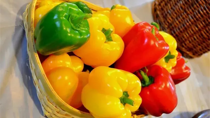 أحمر وأخضر وأصفر.. تعرف على فوائد الفلفل حسب لونه