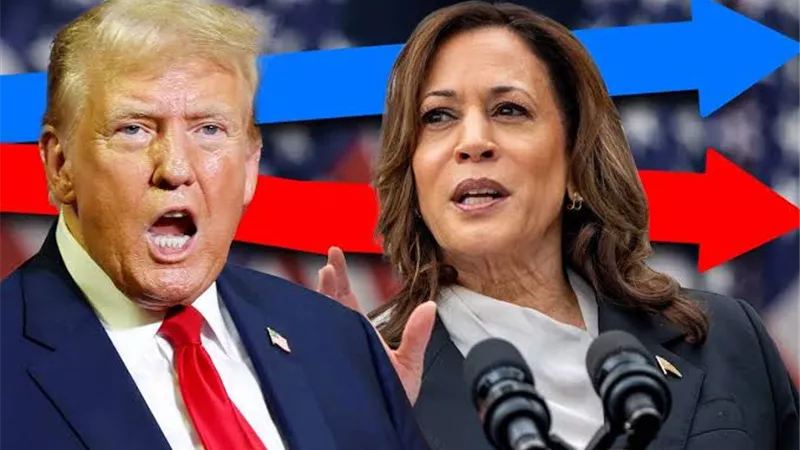 7 معلومات عن انتخابات الرئاسة الأمريكية 2024.. هل تتولى امرأة أمريكا لأول مرة؟ 