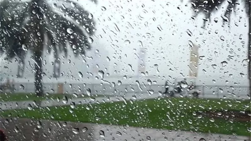 طقس بارد وأمطار على القاهرة غدًا الأحد 
