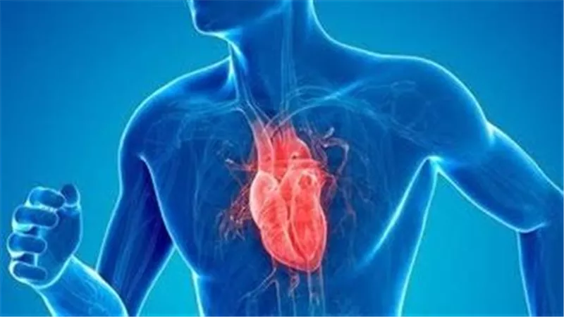 مشروب طبيعي يساعدك في تقوية عضلة القلب