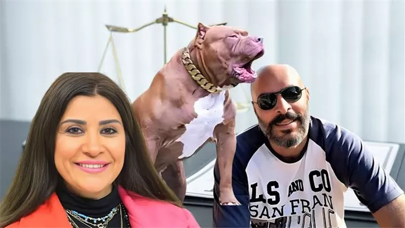 تغريم أميرة شنب وزوجها 30 مليون جنيه لعائلة ضحية كلبهما البيتبول 
