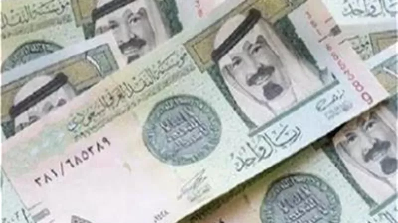 سعر الريال السعودى أمام الجنيه المصري اليوم الثلاثاء 10-12-2024