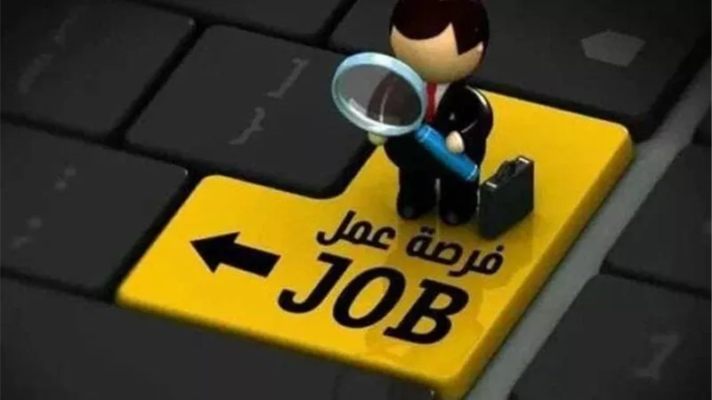تخصصات متنوعة.. تعرف على الوظائف الخالية بوزارة الشباب