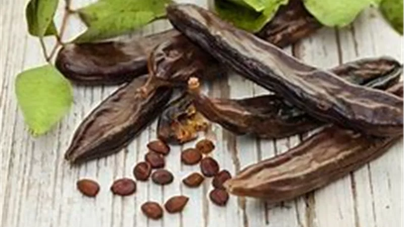تفسير حلم الخروب في المنام وعلاقته بموت صاحب الرؤيا