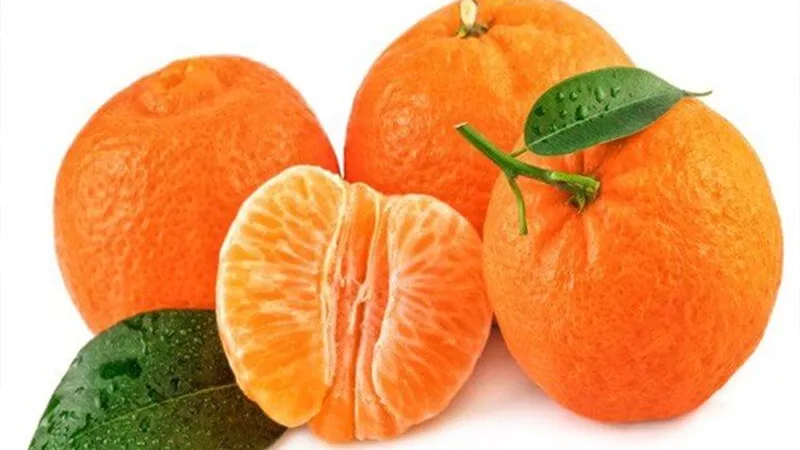 تفسير رؤية اليوسفي في المنام وعلاقته بالحظ السعيد والرزق الواسع وتحقيق الأهداف