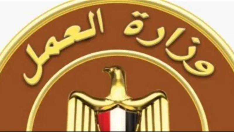 بقيمة 1000 جنيه.. «العمل» تبدأ صرف منحة رمضان للعمالة غير المنتظمة فى هذا الموعد