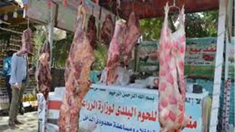 اللحوم البلدي بـ280 جنيهًا.. الزراعة تطرح 80 سلعة في منافذها
